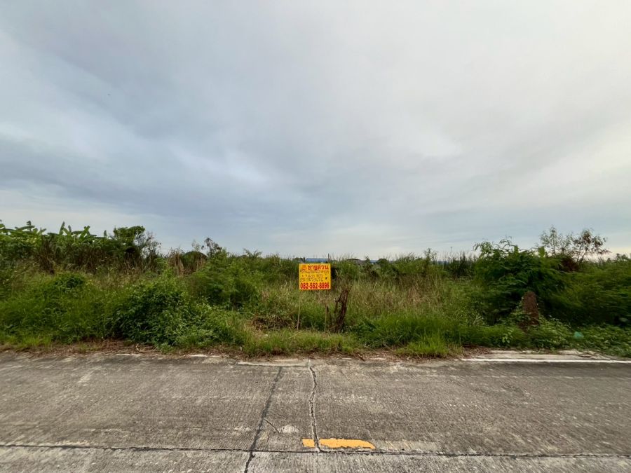 ขายที่ดิน - ขายที่ดินเปล่า ปิ่นทองแลนด์ซอย2 ไทรน้อย นนทบุรี