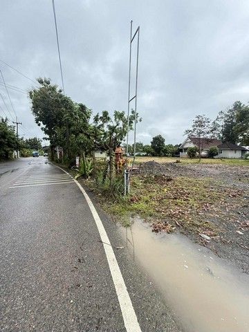 ขายที่ดิน - ขายที่ดิน 55ตรว. 790,000บ. ถนน น้ำ ไฟฟ้า ใกล้ตลาดป่าเหมือด ซอยบ้านแม่ดู บ้านทุ่งยาว ต.สันทรายหลวง อ.สันทราย เชียงใหม่