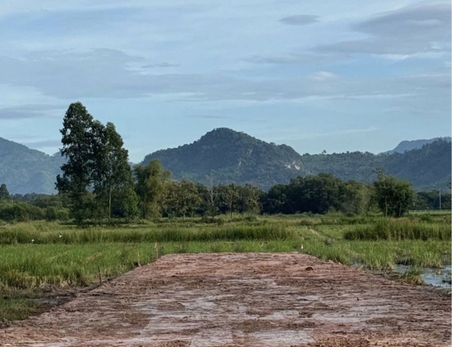 ขายที่ดิน - ที่ดินวิวเขา บ้านสวนทิวเขา เขาพระ นครนายก 100 ตร.วา