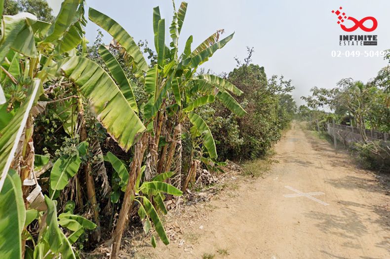ขายที่ดิน - ขายที่ดิน 194 ตร.วา ถนนประชาสำราญ ซอยเทวาพิทักษ์ หนองจอก