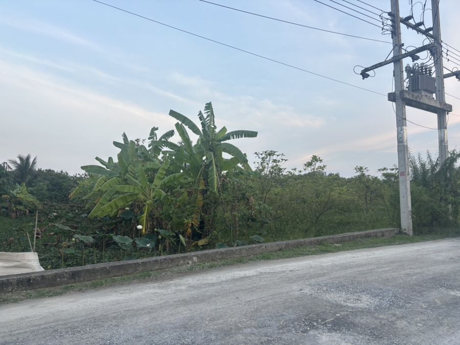 ขายที่ดิน - ขายที่ดินเปล่า 10 ไร่ 9 ตารางวา ต.ศาลายา อ.พุทธมณฑล จ.นครปฐม ถนนเชื่อมไปคลองโยง เลียบคลองตาหลี คลองมหาสวัสดิ์