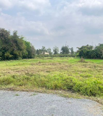 ขายที่ดิน - ที่ดินถมแล้ว 193 ตร.ว. ในหมู่บ้านพูลวิลล่า หลังปั๊ม ปตท. สันผักหวาน พร้อมปลูกบ้านหรือสร้างพูลวิลล่าได้ทันที