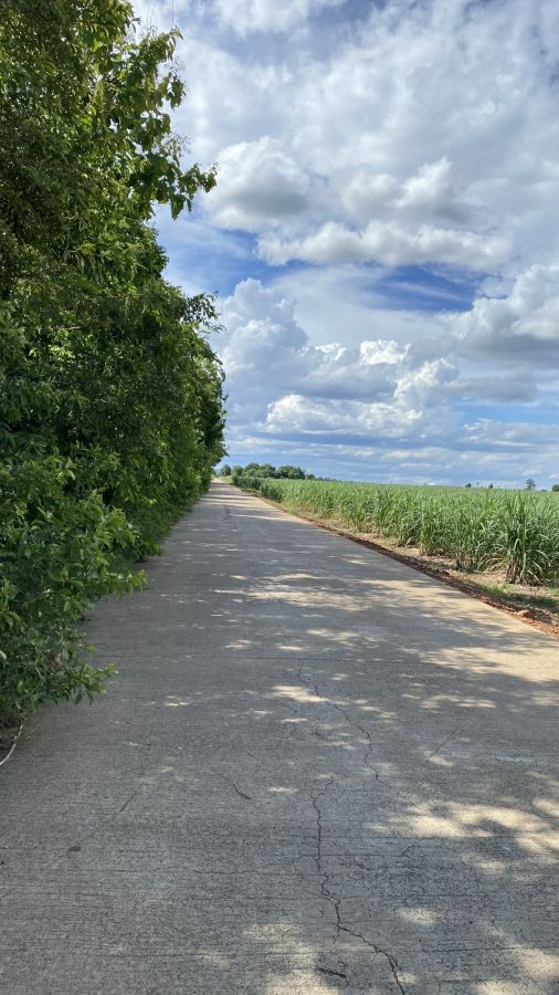 ขายที่ดิน - ขายที่ดินเปล่า ทำเลดี ต.หนองกุ่ม อ.บ่อพลอย จ.กาญจนบุรี