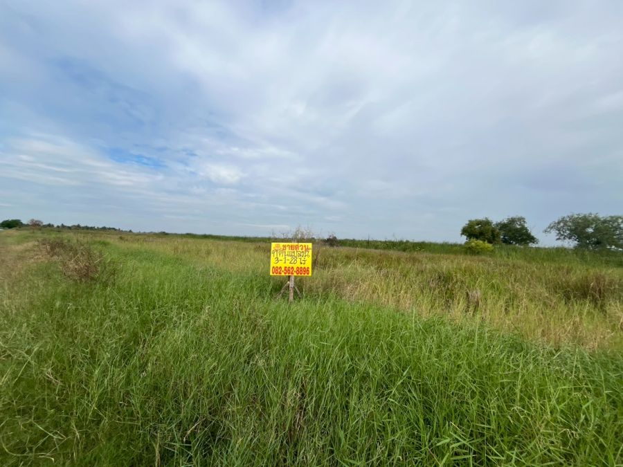 ขายที่ดิน - ขายที่ดินเปล่า ซอยผดุงพันธ์21 หนองจอก กรุงเทพมหานคร