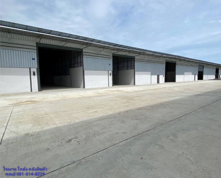ให้เช่าโรงงาน / โกดัง - ให้เช่าโรงงาน โกดัง คลังสินค้า ขนาดเริ่มต้น 100 ตร.ม. ถึง 8,000 ตร.ม. แถวแคราย คลองมะเดื่อ นาดี บางน้ำจืด สมุทรสาคร