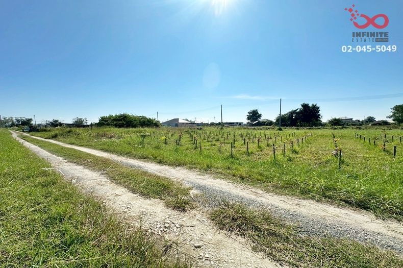 ขายที่ดิน - ขายที่ดิน 56 ตารางวา ดอยสะเก็ด เชียงใหม่ ราคาถูกสุดในย่านนี้