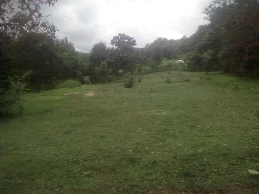 ขายที่ดิน - ขายที่ดินติดธารน้ำ-ลำห้วย วิวธรรมชาติ ต.แม่แรม อ.แม่ริม เชียงใหม่ เนื้อที่ 3 ไร่ 1 งาน 67 ตรว. (1,367 ตรว.) ราคาเพียง 9,950 บาท/ตรว.