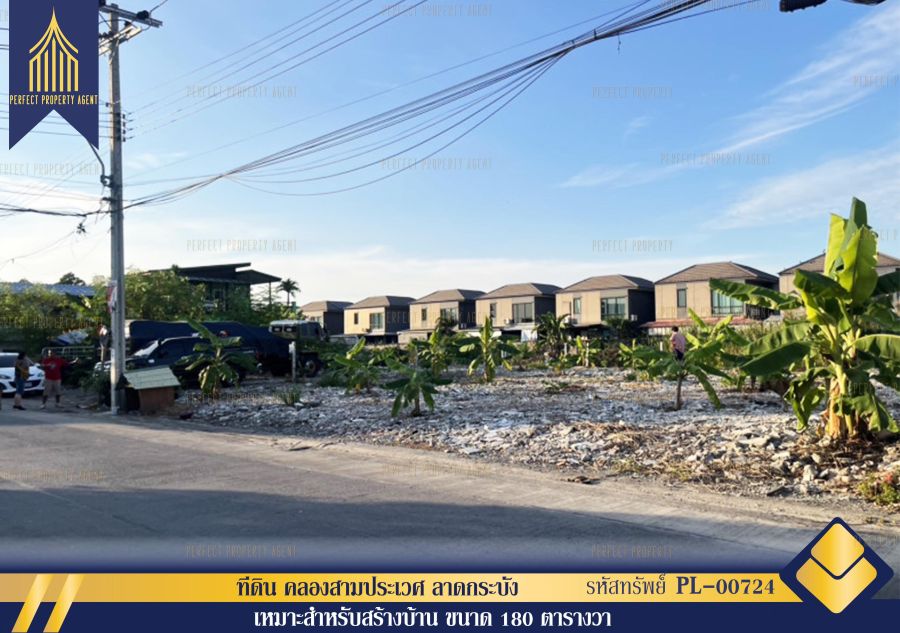 ขายที่ดิน - ขายที่ดิน คลองสามประเวศ ลาดกระบัง ขนาด180 ตารางวาเหมาะสร้างบ้านราคาย่อมเยาว์