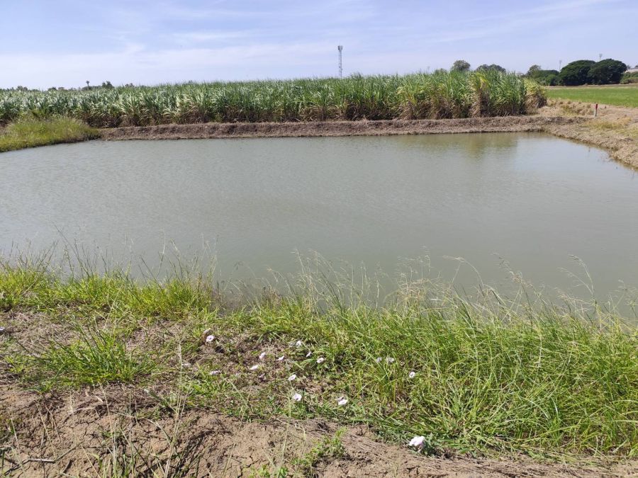 ขายที่ดิน - ขายที่ดินเปล่าแปลงใหญ่ 9 ไร่กว่า แบ่งขายได้ Sale large land 9.3 Rais near Bangkok