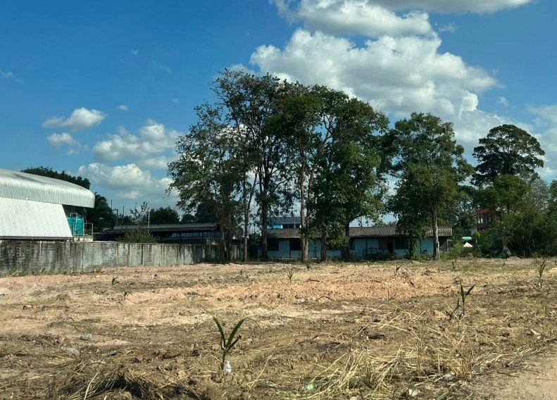 ขายที่ดิน - ขายที่ดินบึง หนองแขวะ 2 ไร่ ถมแล้วติดวิทยาลังเทคโนโลยีทางทะเล ใกล้ท่าเรือแหลมฉบัง-10กม. อ.ศรีราชา ชลบุรี