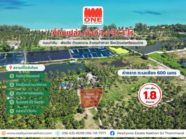 ขายที่ดิน - ที่ดินเปล่า 1-1-31.1 ไร่ ห่างจากทะเลเพียง 600 เมตร ต.กลาย อ.ท่าศาลา