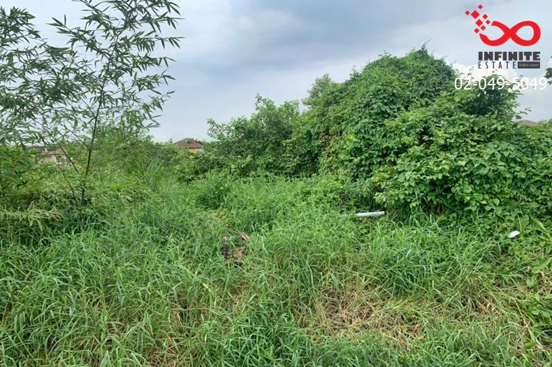 ขายที่ดิน - ขายที่ดิน 50 ตรว.ซ.หทัยราษฎร์ 5 ถนนหทัยราษฎร์ คลองสามวา ขายถูก