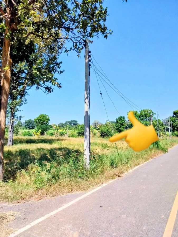 ขายที่ดิน - ที่ดินแปลงสวย ติดถนนลาดยาง มีไฟฟ้า ราคาถูก หนองกี่ บุรีรัมย์