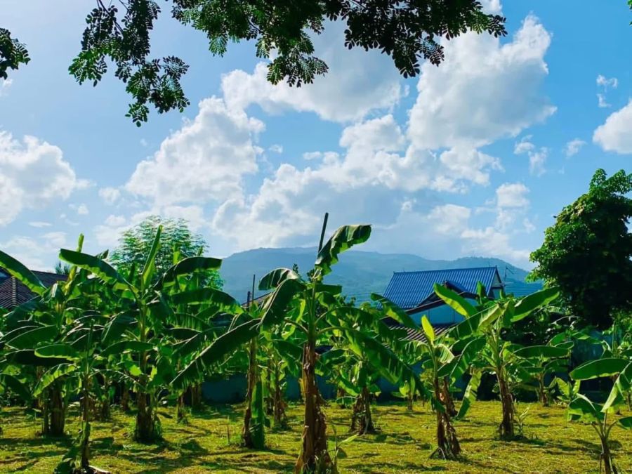 ขายที่ดิน - ขายที่ดินทำเลทอง! หมู่บ้านช่างทอง ต.สุเทพ อ.เมืองเชียงใหม่ ใกล้มหาวิทยาลัยเชียงใหม่ (หลัง มช.)