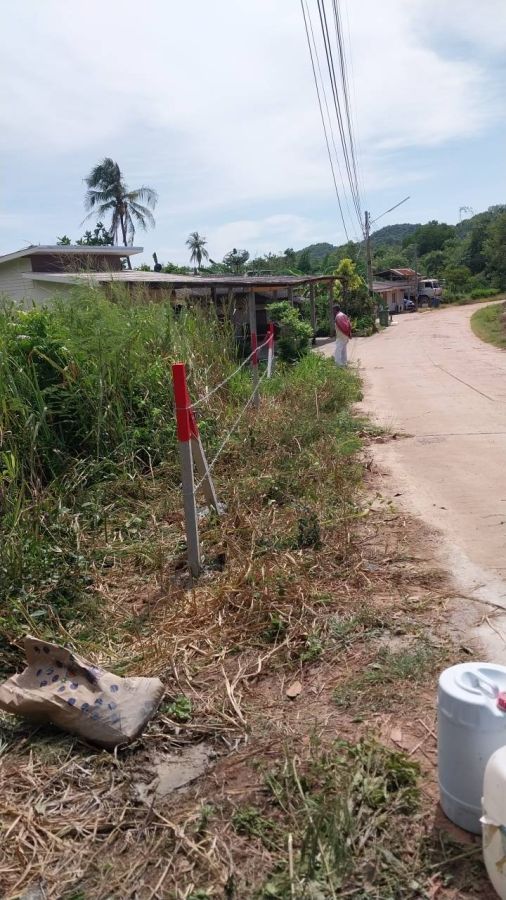 ขายที่ดิน - ขายที่ดินบางเสร่ 1 ไร่ ติดถนนคอนกรีตใกล้วิวเขาใกล้ตลาดแยกเจ(ถนนเส้นสุขุมวิท3)7กม. อ.สัตหีบ จ.ชลบุรี