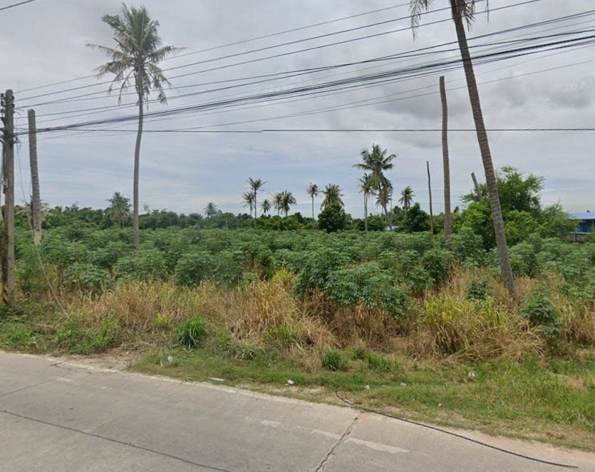 ขายที่ดิน - ขายที่ดินสีม่วงลายบึงถมแล้ว 15 ไร่ ติดถนนคอนกรีตซอยดอนนุ่น ใกล้นิคมปิ่นทอง2-4กม. อ.ศรีราชา ชลบุรี