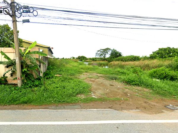 ขายที่ดิน - ที่ดินติดถนน บางขุนเทียน-ชายทะเล บนเนื้อที่ 46 ไร่กว่า บรรยากาศร่มรื่นเป็นธรรมชาติ เดินทางสะดวก