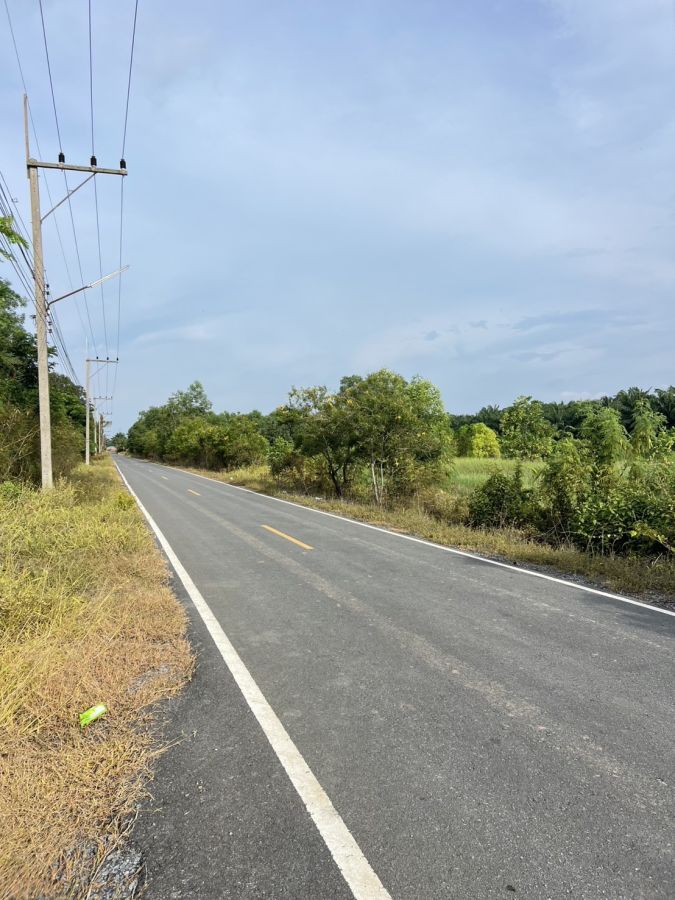 ขายที่ดิน - ที่ดินคลอง 9 หนองเสือ ปทุมธานี 200 ตรว. ราคาถูก ทำเลอนาคต เหมาะปลูกบ้าน ทำโกดัง ฟรีค่าโอน