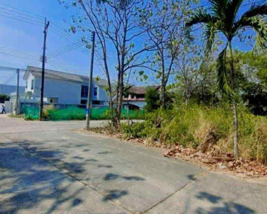 ขายที่ดิน - ขายที่ดินห้วยใหญ่ 100 ตรว. ซอยชากนอก19 แปลงหัวมุมติดถนน2ด้านใกล้หาดจอมเทียน-7กม. อ.บางละมุง ชลบุรี