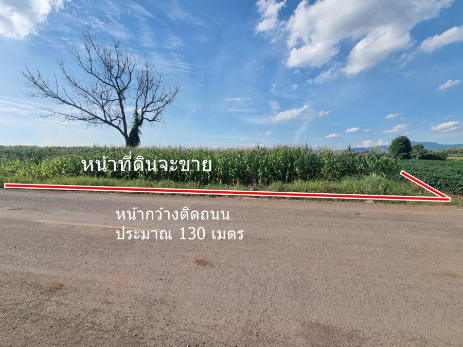 ขายที่ดิน - ขายที่ดิน 20ไร่เศษ ต.ลาดแค ชนแดน ขายเหมายกแปลง1.9 ล้าน