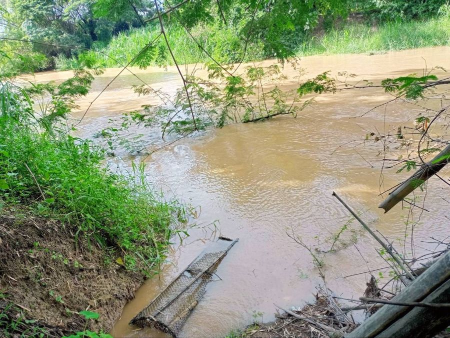 ขายที่ดิน - ขายสวนผสมติดแม่น้ำลี้ ติดถนนคอนกรีต เหมาะทำบ้านพักตากอากาศ พูลวิลล่า คาเฟ่ร้านอาหารริมแม่น้ำ