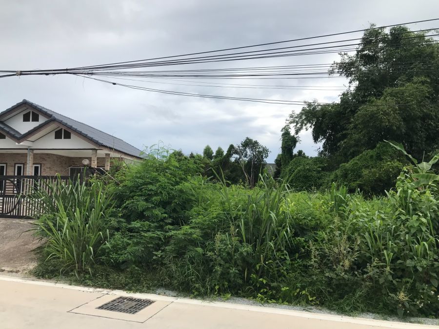 ขายที่ดิน - ขายที่ดินนาจอมเทียน พัทยา 212 ตรว. ซอยทุ่งเจ๊กเลี่ยว ใกล้หาดบ้านอำเภอ5กม. อ.สัตหีบ จ.ชลบุรี