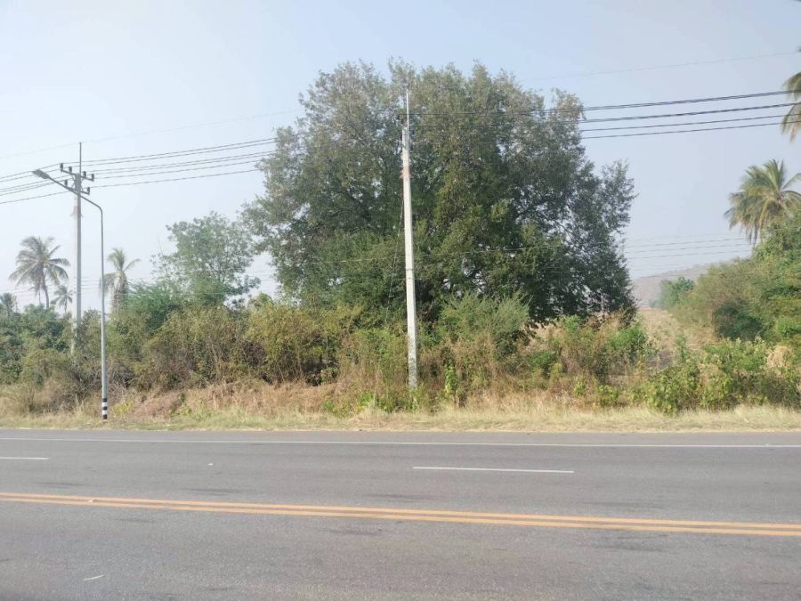 ขายที่ดิน - ขายที่ดินสวย ทำเลทอง ติด 4 เลน อำเภอตากฟ้า จังหวัดนครสวรรค์