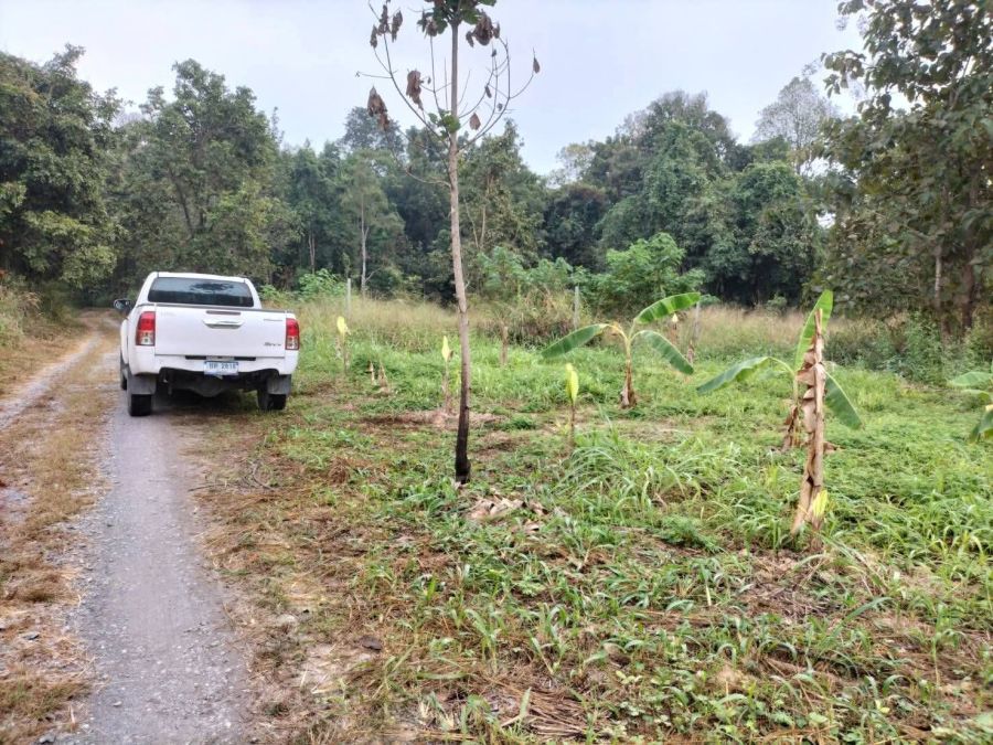 ขายที่ดิน - ขายที่ดินหลังมหาวิทยาลัยแม่โจ้ห่างเพียง 6 กม ราคาถูก