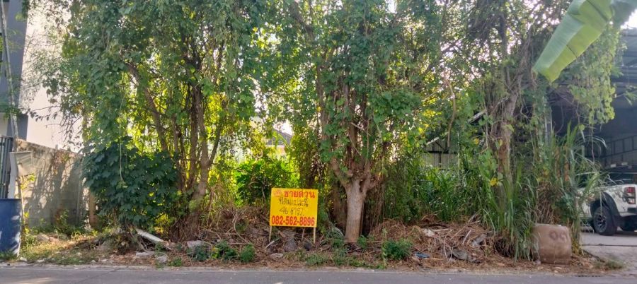 ขายที่ดิน - ขายที่ดินเปล่า ซอยรังสิต-นครนายก42 คลอง1 ธัญบุรี