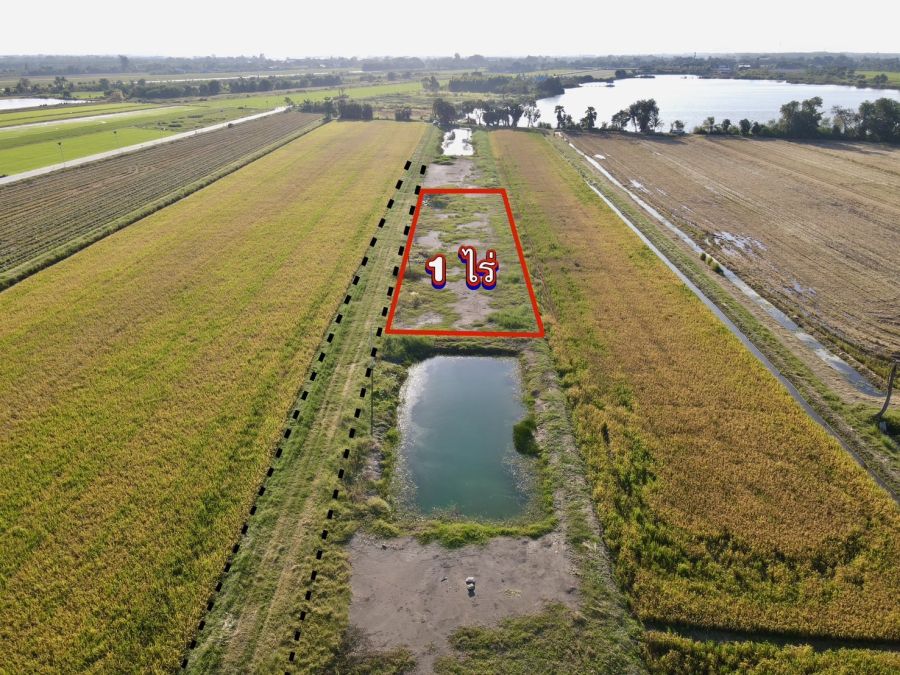 ขายที่ดิน - ขายที่ดินคลอง 8 ลำลูกกา ปทุมธานี 1 ไร่ ทำเลดี ใกล้ชุมชน ราคา 1.9 ล้าน