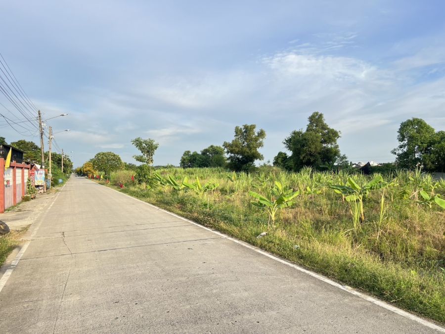 ขายที่ดิน - ขายที่ดินคลองสาม คลองหลวง ปทุมธานี เปิดแปลงใหม่ ราคาดี 100 ตารางวา เพียง 850,000 บาท