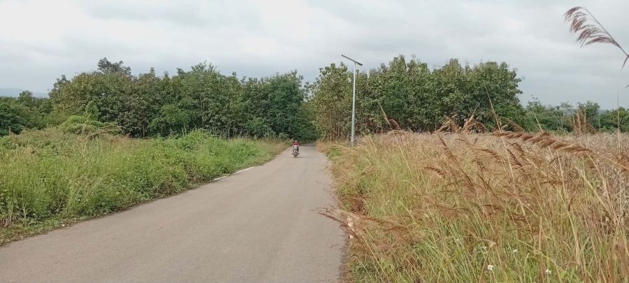 ขายที่ดิน - ขาย ที่ดิน ติดถนน แถววัดถ้ำพระสบาย อยู่ในเขตบ้านฮ่อม ตำบลนาครัว แม่ทะ ลำปาง