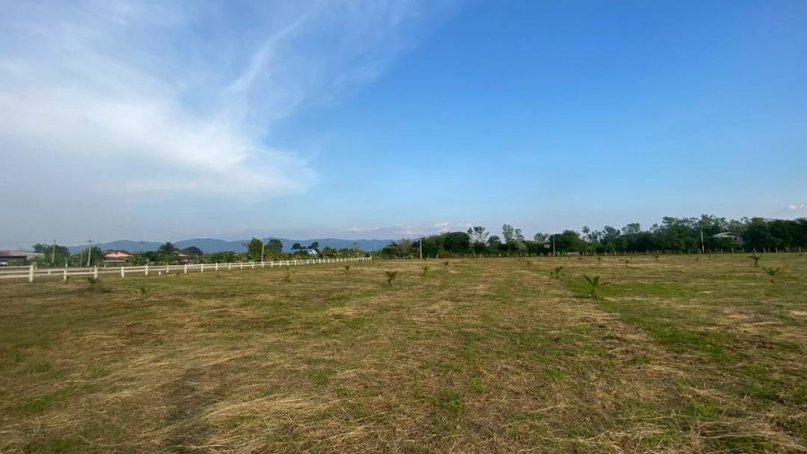 ขายที่ดิน - ขายที่ดิน 10-2-1 ไร่ ห้วยข้าวก่ำ อ.จุน พะเยา