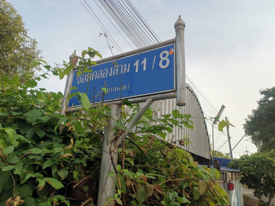ขายที่ดิน - ที่ดินใกล้ ร้านพี่ยาคนรุม ที่ดินคลอง3 คลองหลวง ปทุมธานี100 ตร.ว เพียง 8.5แสน เท่านั้น