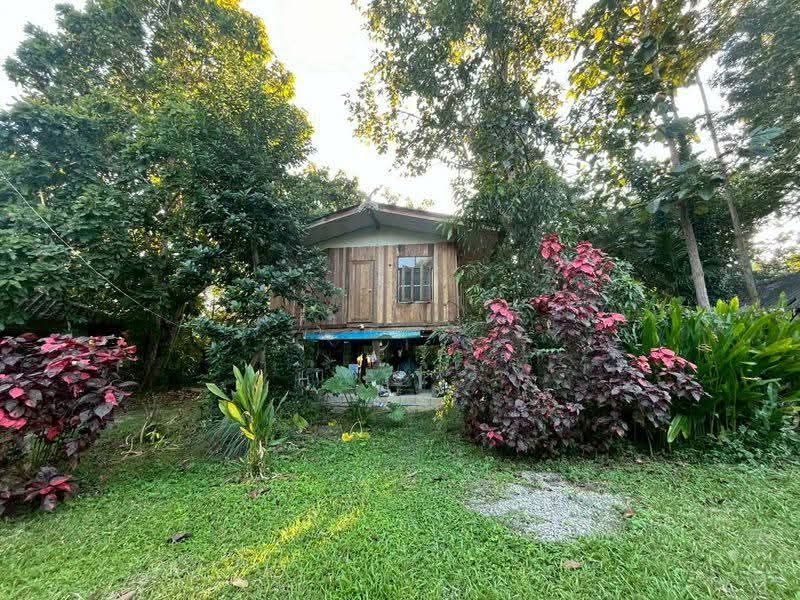 ขายที่ดิน - ขายที่ดินติดลำธารน้ำตำบลน้ำแพร่หางดงโฉนดพร้อมโอน