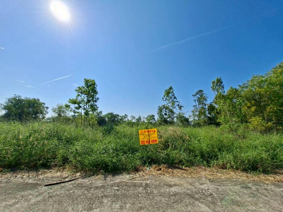 ขายที่ดิน - ขายที่ดินเปล่า ซอยสะพานเหลือง(คลองแอน คลอง4) คลองหลวง