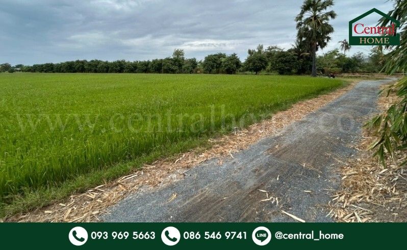 ขายที่ดิน - ที่ดิน 9-3-99.5 ไร่ ดอนโพธิ์ - สุพรรณบุรี มีผู้เช่า ทำเลดี