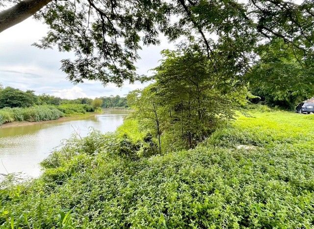 ขายที่ดิน - ขายที่ดิน 1 งาน 41 ตารางวา นส.4 โฉนดครุฑแดง ติดแม่น้ำป่าสัก ใจกลางเมืองสระบุรี