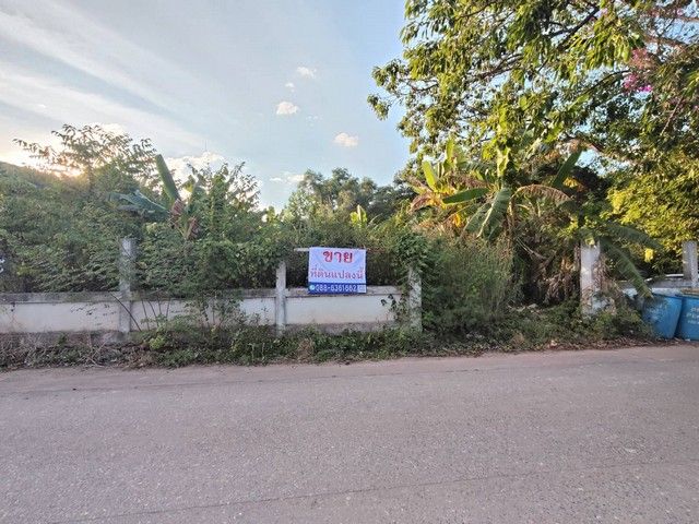 ขายที่ดิน - ขายที่ดินเปล่า ถมแล้ว แปลงมุม อ. แกลง ระยอง ใกล้ ชายหาดแหลมแม่พิมพ์ 500 ม. Land for Sale at Mae Phim Beach (ผังเมือง EEC)