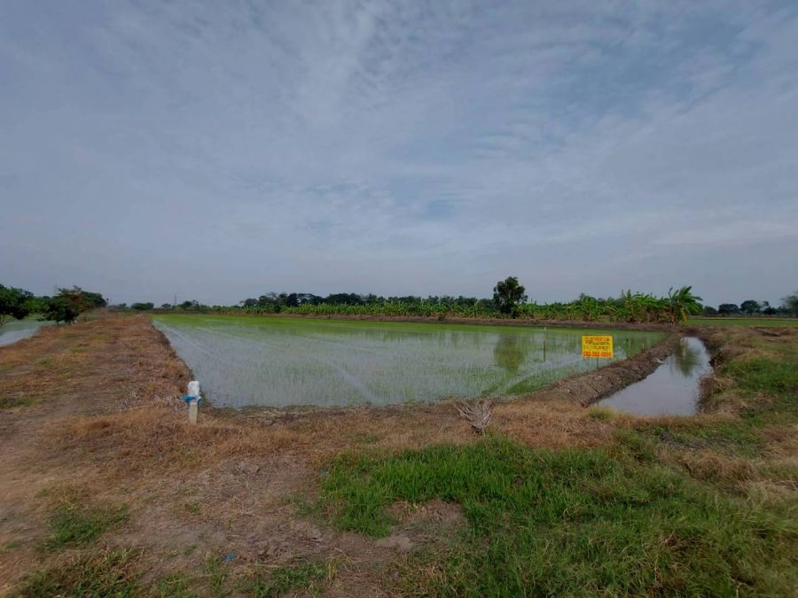 ขายที่ดิน - ขายที่ดินเปล่า ซอยเพิ่มสุข 2 ตำบลคลองควาย อำเภอสามโคก จังหวัดปทุมธานี