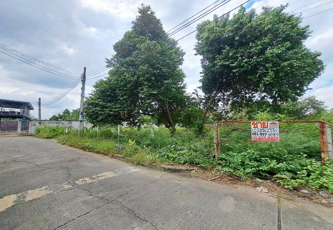 ขายที่ดิน - ขายที่ดิน ซอยศาลาธรรมสพน์ 13 ถนนบรมราชชนนี เขตทวีวัฒนา กรุงเทพมหานคร