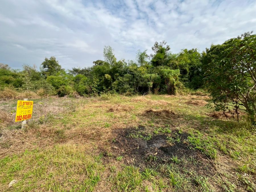 ขายที่ดิน - ขายที่ดินเปล่า ซอยท่ามะกอก หนองแค สระบุรี