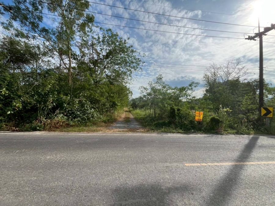 ขายที่ดิน - ขายที่ดินเปล่า ซอยบ้านวังทิพย์ ใกล้อ่างเก็บน้ําห้วยปรือ นครนายก