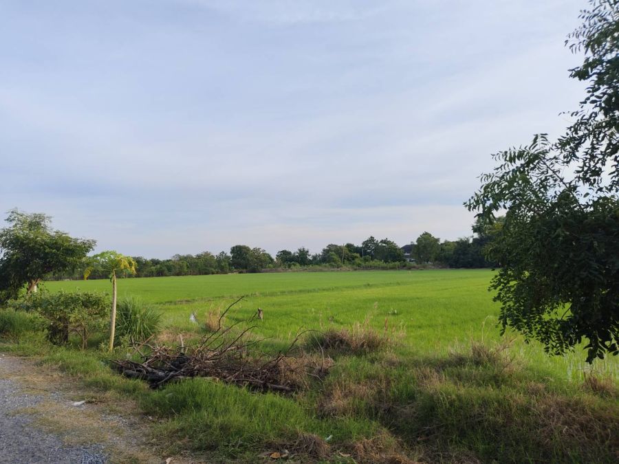 ขายที่ดิน - ขายที่ดินแปลงสวย ทำเลดี ใกล้ถนน 346 เพียง 2.7 กม. ลาดหลุมแก้ว บน ถ.เทศบาล 4- เนื้อที่ 12 ไร่ 3 งาน 87.7 วา2