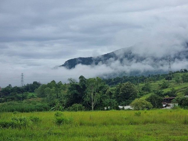 ขายที่ดิน - ขายด่วนที่ดินสวยเขาค้อ 5 ไร่ 32 ตร.วา ราคา 35 ล้านบาท วิวภูเขา ต.แคมป์สน อ.เขาค้อ จ.เพชรบูรณ์