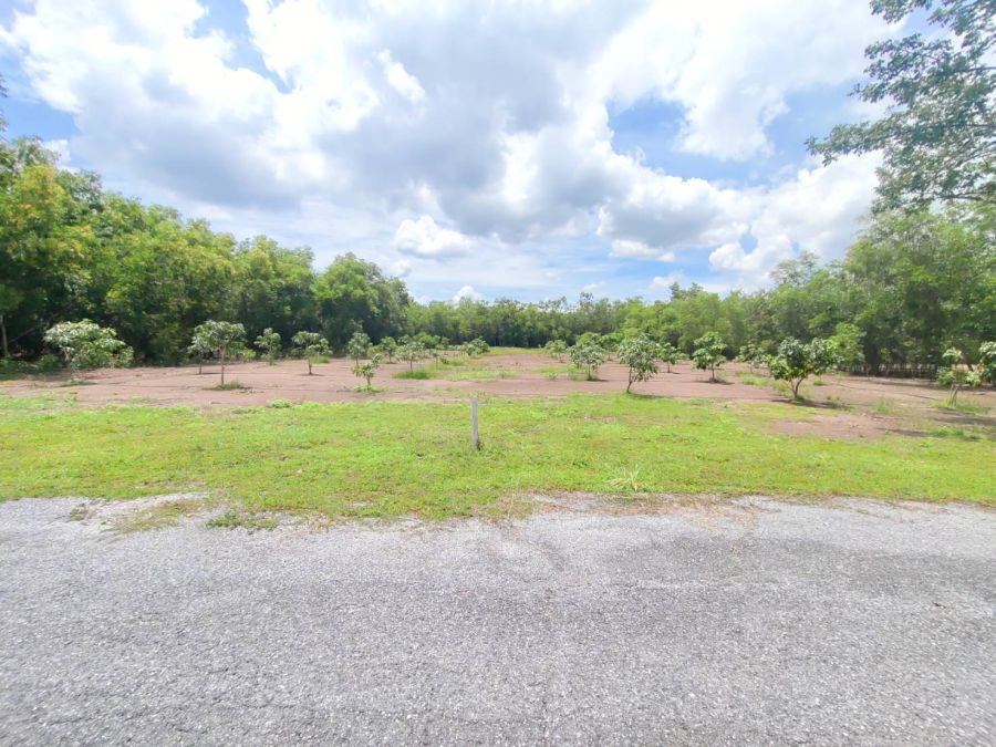 ขายที่ดิน - ขายที่ดินแปลงสวย 2 ไร่ 6 ตร.วา โครงการคันทรีการ์เด้น ใกล้ วัดพระธรรมกาย เพียง 3 กม.