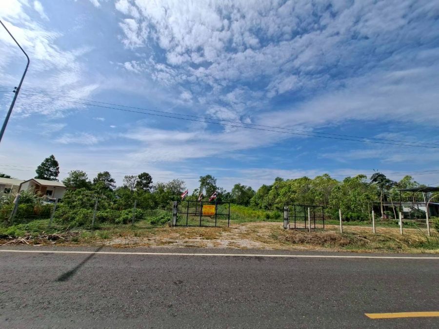 ขายที่ดิน - ขายที่ดินเปล่า ถนนเลียบรางรถไฟ ตำบลตลาดน้อย อำเภอบ้านหมอ จังหวัดสระบุรี