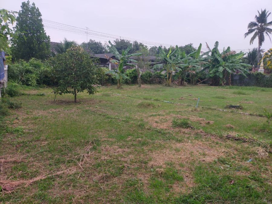 ขายที่ดิน - ด่วน ขายที่ดินพร้อมบ้านไม้แดงแท้ ต.อ่างทอง อ.เมือง จ.ราชบุรี