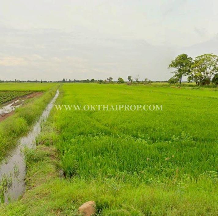 ขายที่ดิน - ที่ดินถมแล้ว คลอง 23 ใกล้อบต.ศีรษะกระบือ ถ.รังสิต-นครนายก องครักษ์ นครนายก