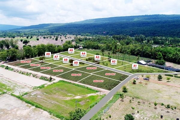 ขายที่ดิน - ที่ดินสวย วิวเขาวังทอง 200 ตร.วา ราคาดีที่สุด 299,000 บาท